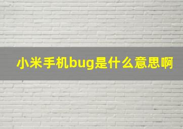 小米手机bug是什么意思啊