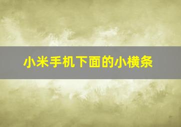 小米手机下面的小横条