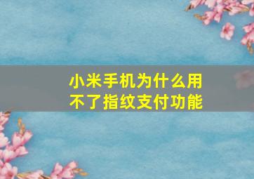 小米手机为什么用不了指纹支付功能