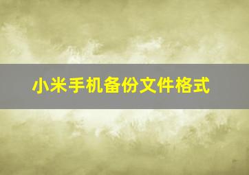 小米手机备份文件格式