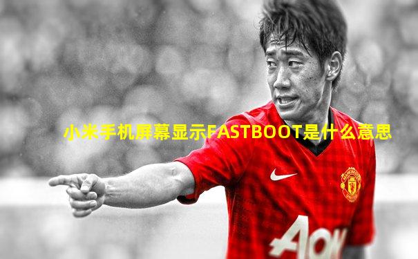 小米手机屏幕显示FASTBOOT是什么意思