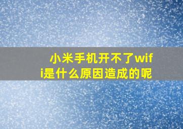 小米手机开不了wifi是什么原因造成的呢