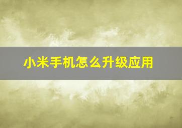 小米手机怎么升级应用