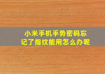 小米手机手势密码忘记了指纹能用怎么办呢