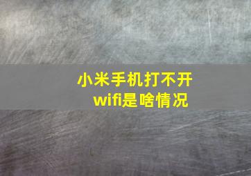 小米手机打不开wifi是啥情况