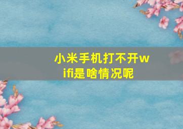 小米手机打不开wifi是啥情况呢