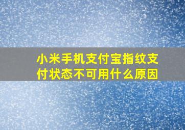 小米手机支付宝指纹支付状态不可用什么原因