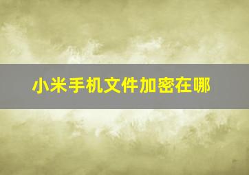 小米手机文件加密在哪