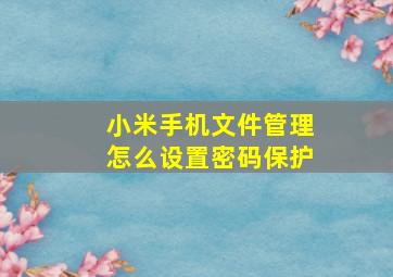 小米手机文件管理怎么设置密码保护