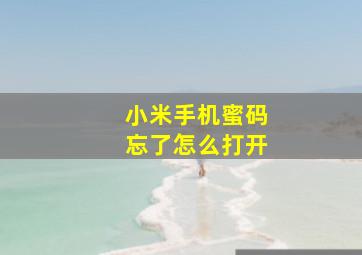 小米手机蜜码忘了怎么打开