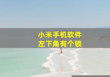 小米手机软件左下角有个锁