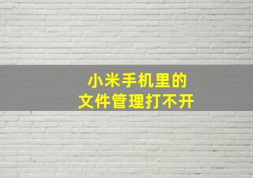 小米手机里的文件管理打不开