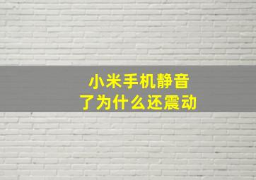 小米手机静音了为什么还震动