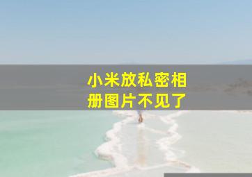 小米放私密相册图片不见了