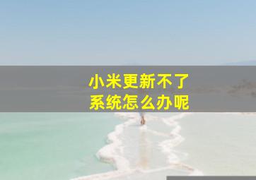 小米更新不了系统怎么办呢