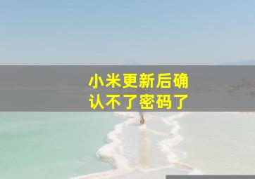 小米更新后确认不了密码了