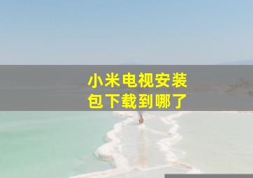 小米电视安装包下载到哪了