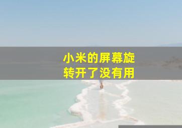 小米的屏幕旋转开了没有用