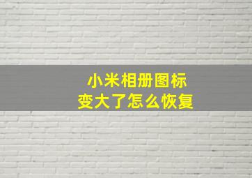 小米相册图标变大了怎么恢复