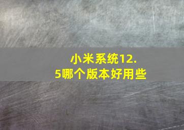 小米系统12.5哪个版本好用些