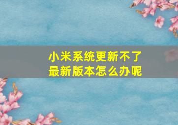 小米系统更新不了最新版本怎么办呢