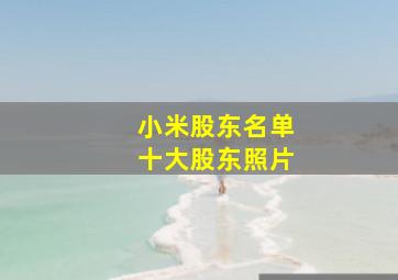 小米股东名单十大股东照片