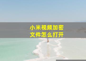 小米视频加密文件怎么打开