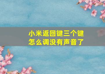 小米返回键三个键怎么调没有声音了