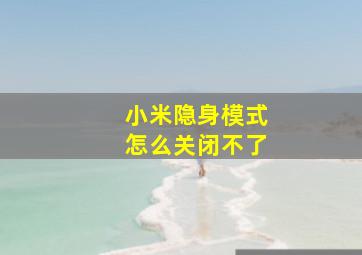 小米隐身模式怎么关闭不了