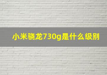 小米骁龙730g是什么级别