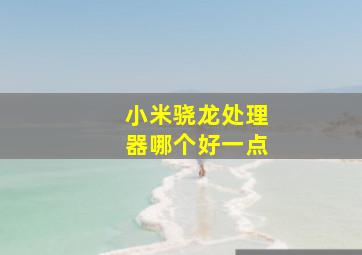 小米骁龙处理器哪个好一点