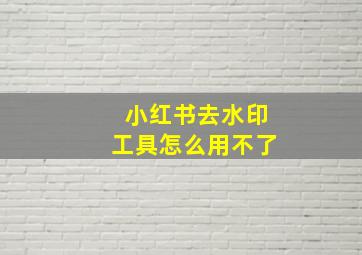 小红书去水印工具怎么用不了