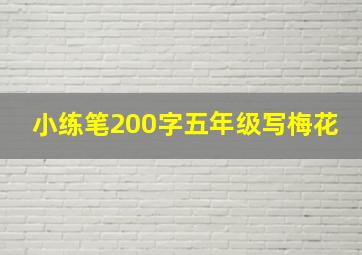 小练笔200字五年级写梅花