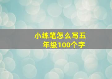 小练笔怎么写五年级100个字