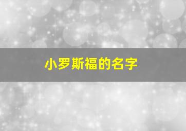 小罗斯福的名字