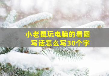 小老鼠玩电脑的看图写话怎么写30个字