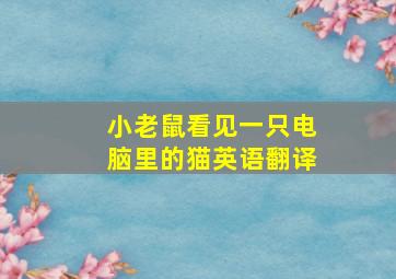 小老鼠看见一只电脑里的猫英语翻译