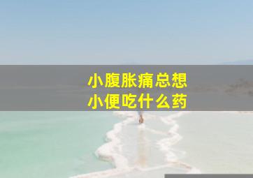 小腹胀痛总想小便吃什么药