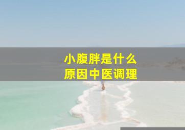 小腹胖是什么原因中医调理