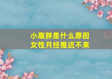 小腹胖是什么原因女性月经推迟不来