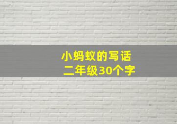 小蚂蚁的写话二年级30个字