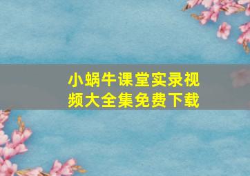 小蜗牛课堂实录视频大全集免费下载