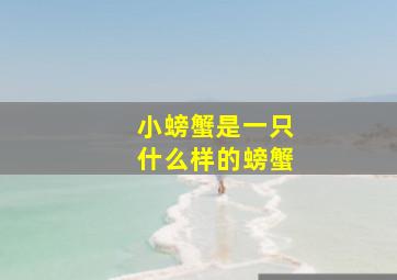 小螃蟹是一只什么样的螃蟹