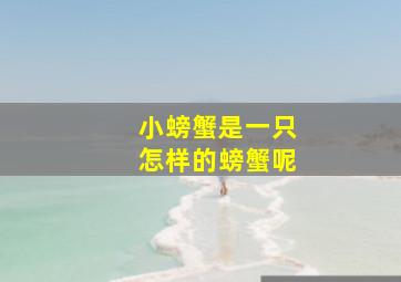 小螃蟹是一只怎样的螃蟹呢