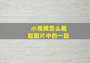 小视频怎么截取图片中的一段