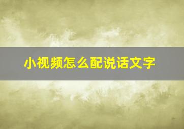 小视频怎么配说话文字