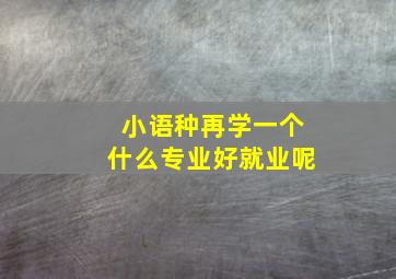 小语种再学一个什么专业好就业呢