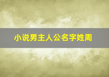 小说男主人公名字姓周