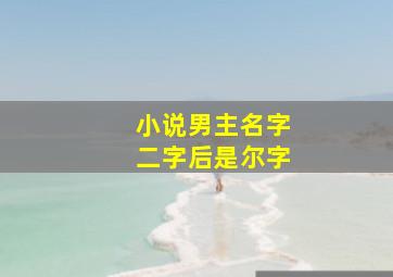 小说男主名字二字后是尔字