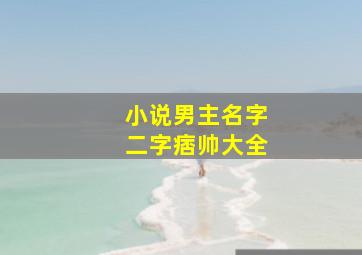 小说男主名字二字痞帅大全